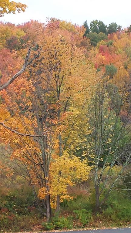 Margaretville Mountain Inn B&B Εξωτερικό φωτογραφία