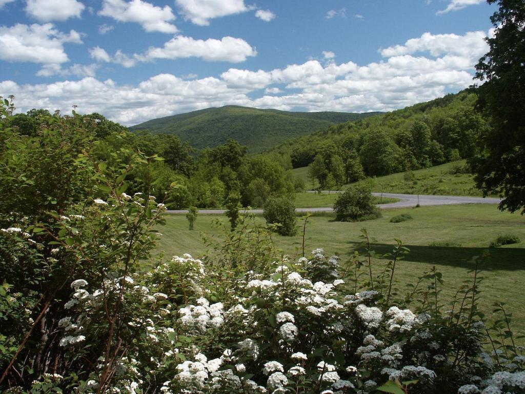 Margaretville Mountain Inn B&B Εξωτερικό φωτογραφία
